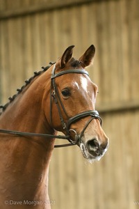 Isis Dressage Crown Farm Show 29th April 2012